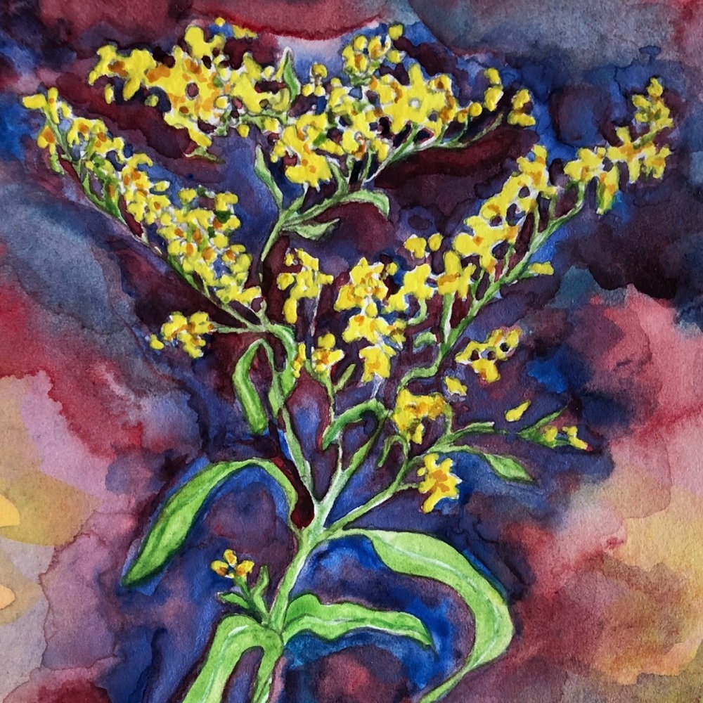 “Goldenrod” Watercolor Notecard